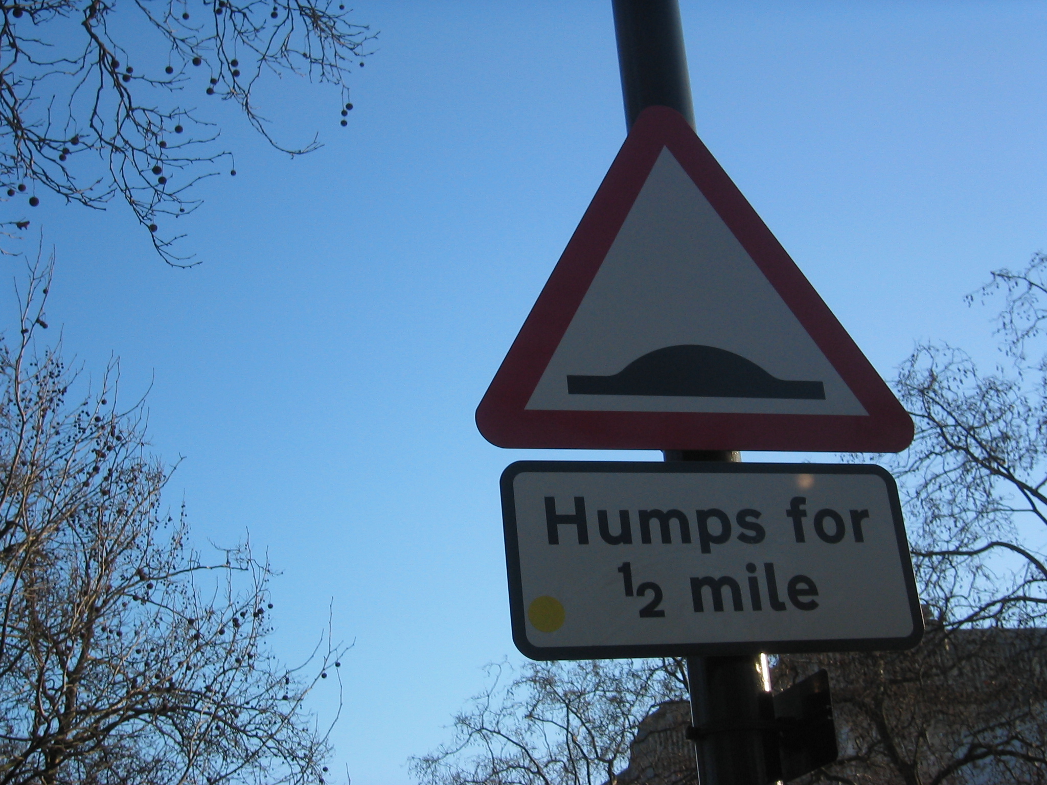 humps.jpg